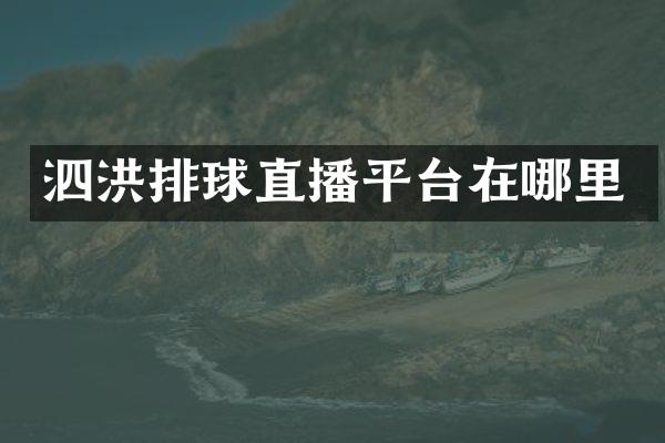 泗洪排球直播平台在哪里