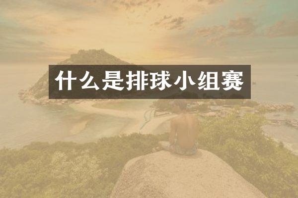 什么是排球小组赛