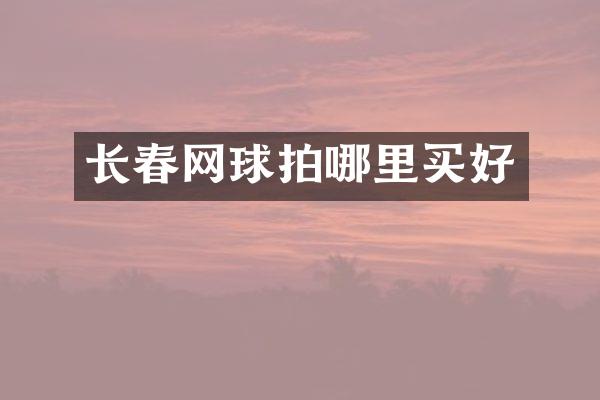 长春网球拍哪里买好