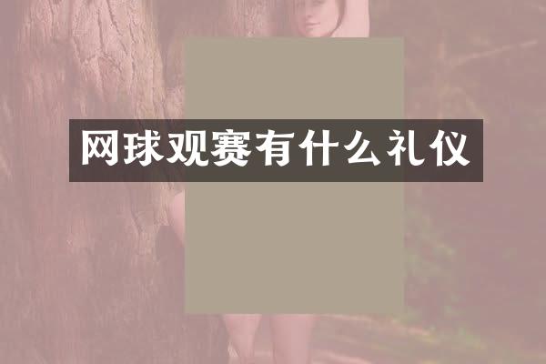 网球观赛有什么礼仪