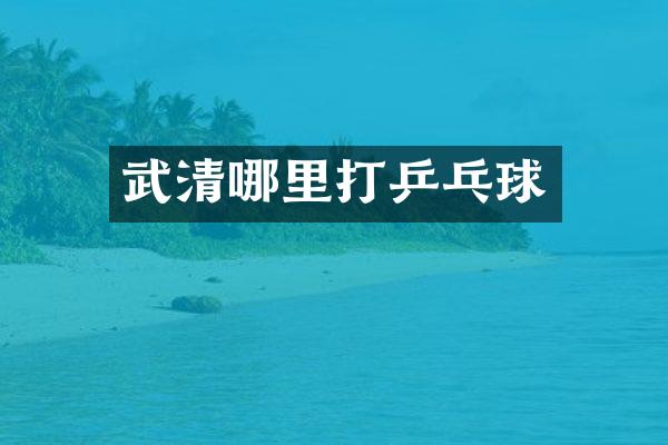 武清哪里打乒乓球