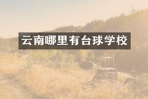 云南哪里有台球学校