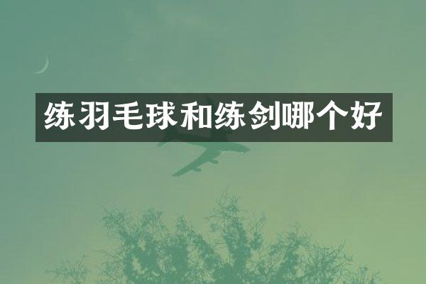 练羽毛球和练剑哪个好