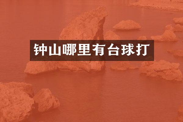 钟山哪里有台球打