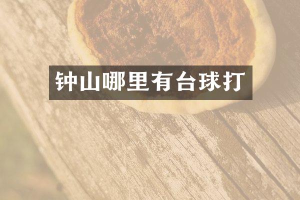 钟山哪里有台球打