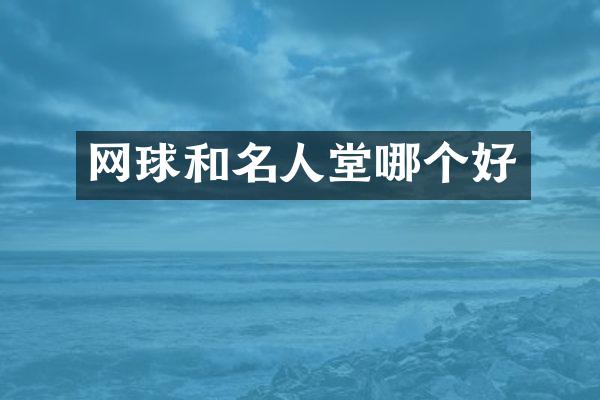 网球和名人堂哪个好