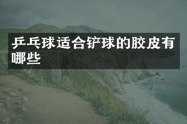 乒乓球适合铲球的胶皮有哪些