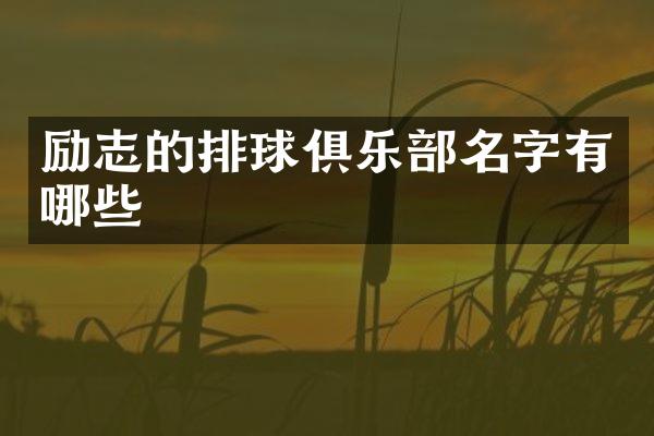 励志的排球俱乐部名字有哪些