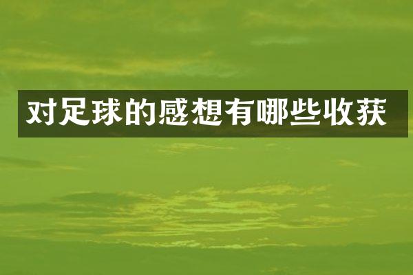 对足球的感想有哪些收获