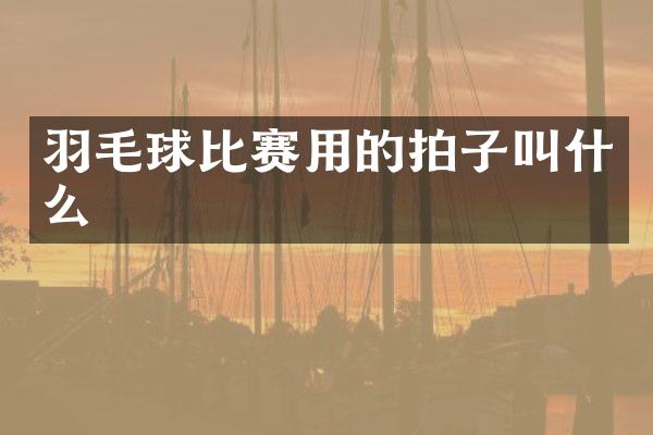 羽毛球比赛用的拍子叫什么