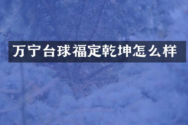 万宁台球福定乾坤怎么样