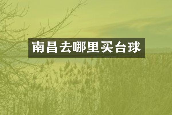 南昌去哪里买台球