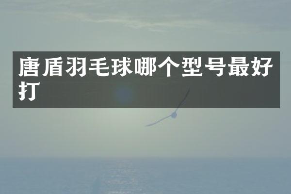 唐盾羽毛球哪个型号最好打