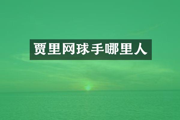 贾里网球手哪里人