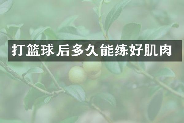 打篮球后多久能练好肌肉