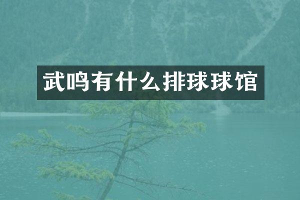 武鸣有什么排球球馆