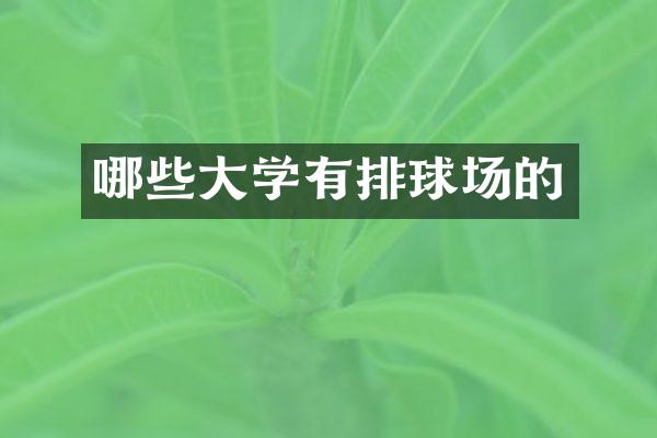 哪些大学有排球场的