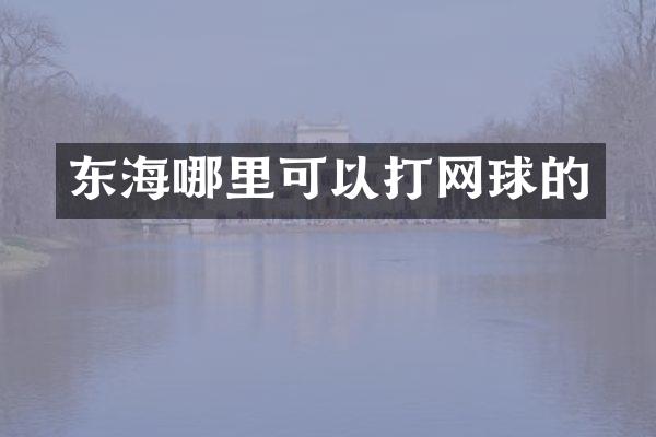 东海哪里可以打网球的