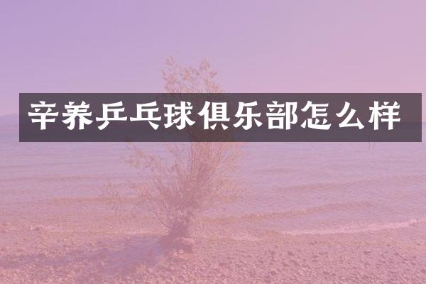 辛养乒乓球俱乐部怎么样
