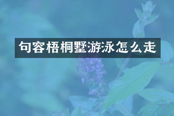 句容梧桐墅游泳怎么走