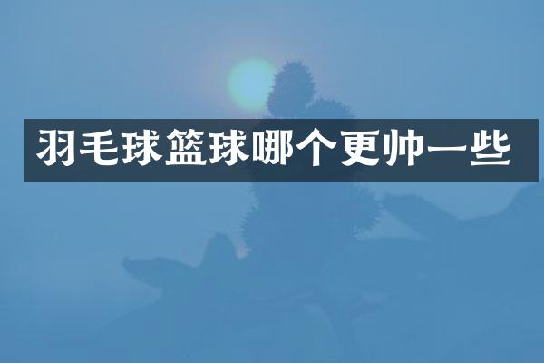 羽毛球篮球哪个更帅一些