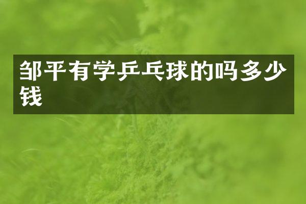 邹平有学乒乓球的吗多少钱