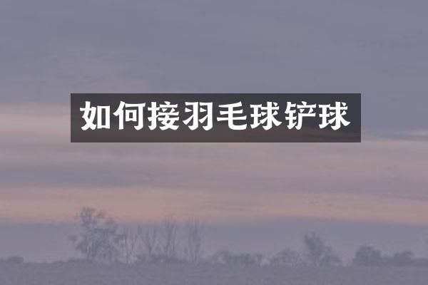 如何接羽毛球铲球