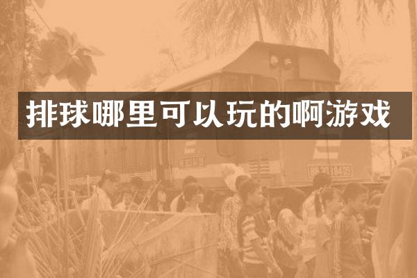排球哪里可以玩的啊游戏