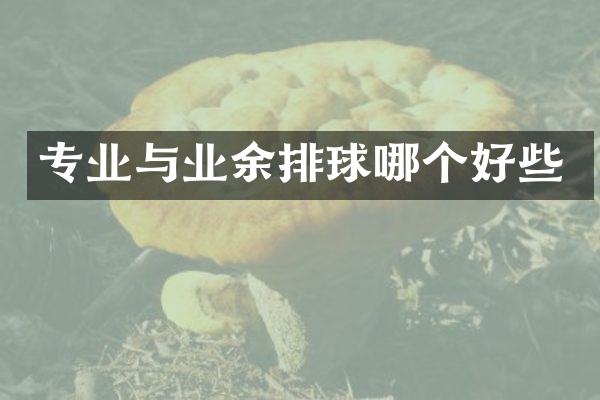 专业与业余排球哪个好些