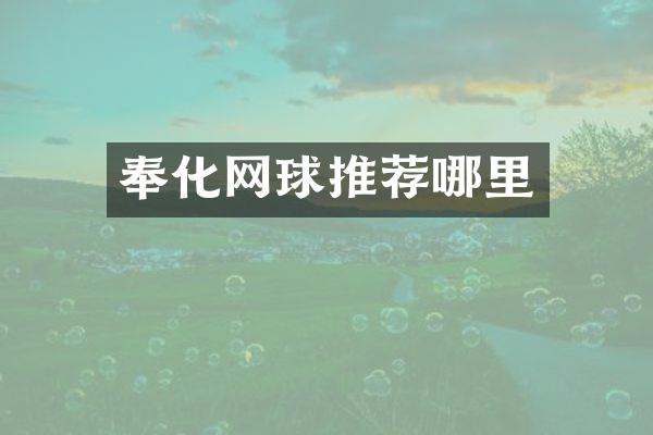 奉化网球推荐哪里