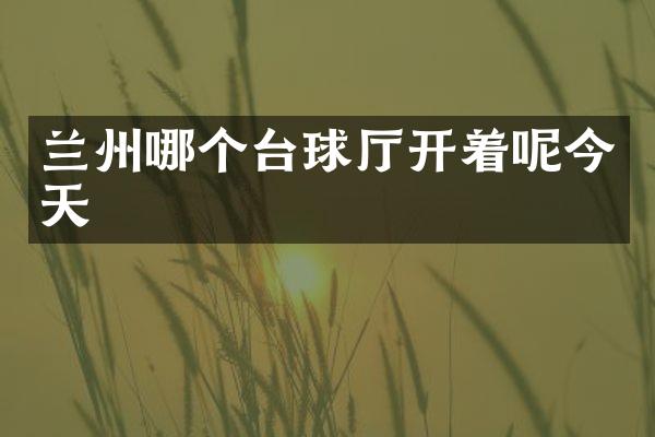 兰州哪个台球厅开着呢今天