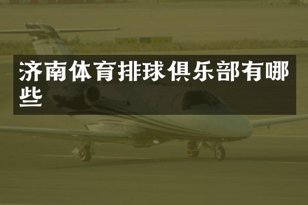 济南体育排球俱乐部有哪些