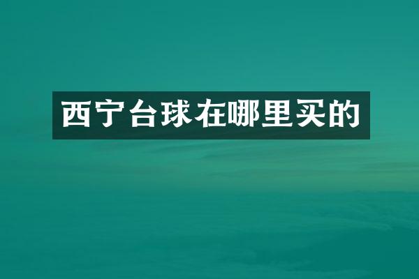 西宁台球在哪里买的