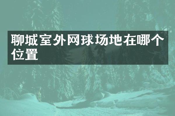 聊城室外网球场地在哪个位置