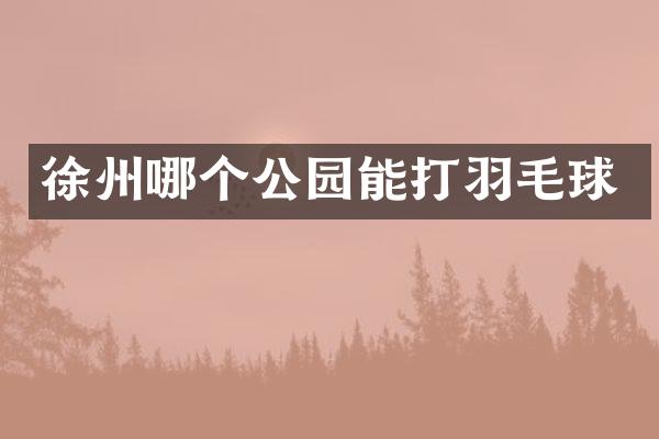 徐州哪个公园能打羽毛球