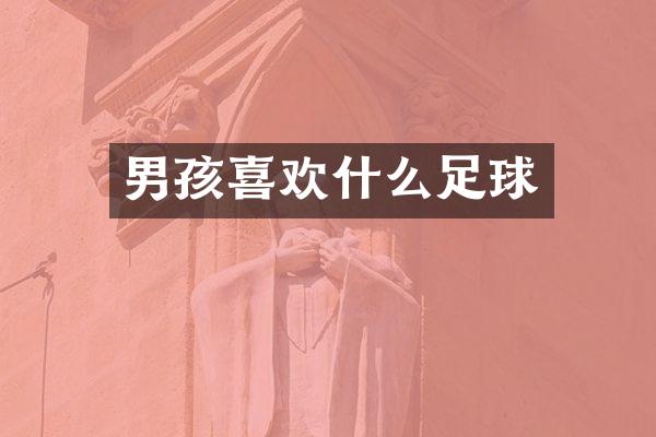 男孩喜欢什么足球