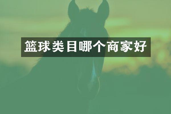 篮球类目哪个商家好