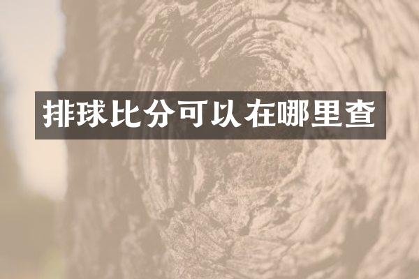 排球比分可以在哪里查