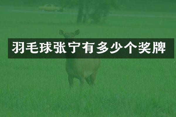 羽毛球张宁有多少个奖牌