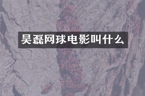 吴磊网球电影叫什么