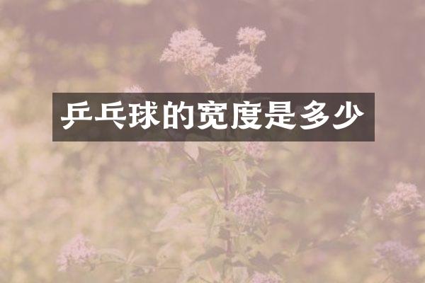 乒乓球的宽度是多少