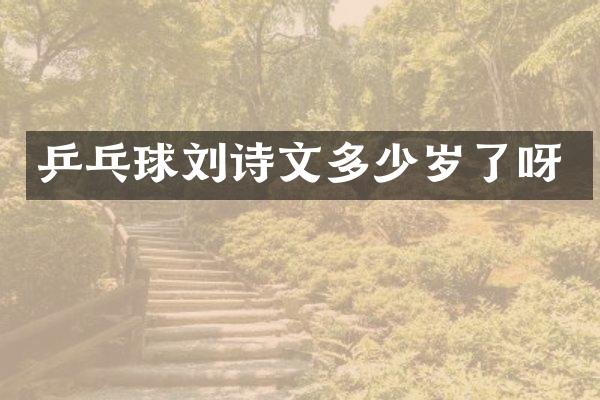 乒乓球刘诗文了呀