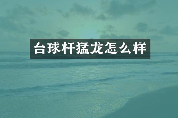 台球杆猛龙怎么样