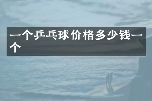 一个乒乓球价格多少钱一个