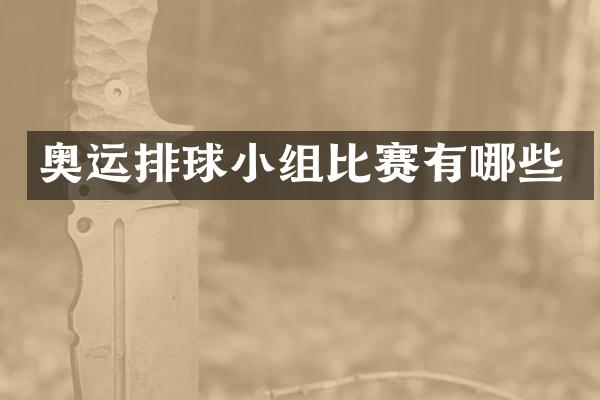 奥运排球小组比赛有哪些