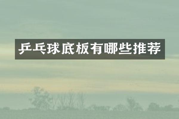 乒乓球底板有哪些推荐