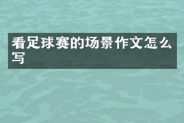 看足球赛的场景作文怎么写