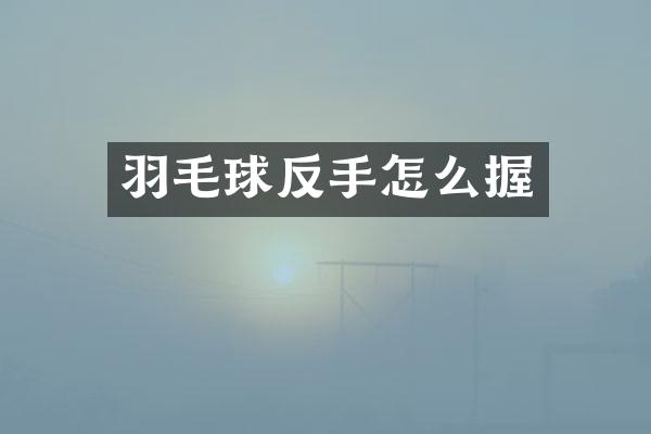 羽毛球反手怎么握