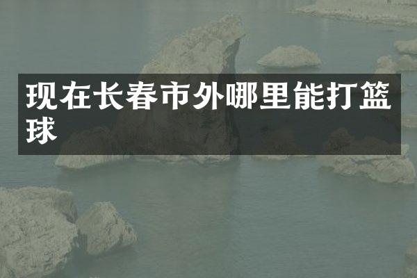 现在长春市外哪里能打篮球