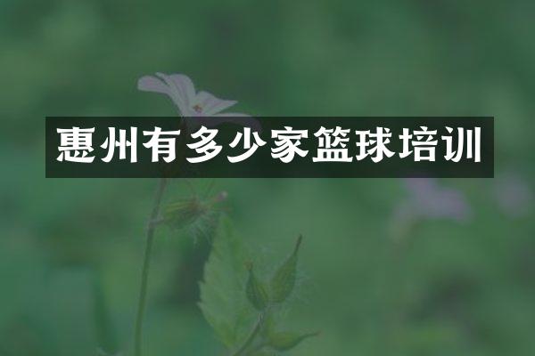 惠州有多少家篮球培训